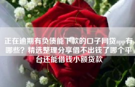 正在逾期有负债能下款的口子网贷app有哪些？精选整理分享借不出钱了哪个平台还能借钱小额贷款