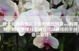 安全可靠的借款平台有哪些网贷app有哪些？精选整理分享现在可以借钱的平台借款软件