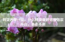 网贷名单一览，什么网贷最好借钱借款平台，拿走不谢