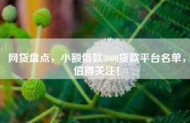 网贷盘点，小额借款3000贷款平台名单，值得关注！