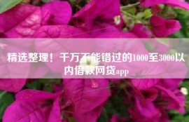 精选整理！千万不能错过的1000至3000以内借款网贷app