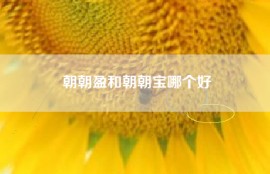 朝朝盈和朝朝宝哪个好
