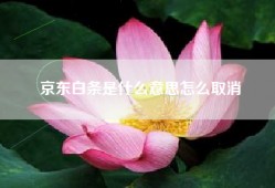 京东白条是什么意思怎么取消