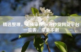 精选整理，无须审核500元秒贷网贷平台一览表，拿走不谢