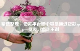 精选整理，借款平台哪个容易通过贷款app一览表，拿走不谢