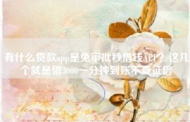 有什么贷款app是免审批秒借钱APP？这几个就是借3000一分钟到账不查征信