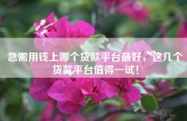 急需用钱上哪个贷款平台最好，这几个贷款平台值得一试！