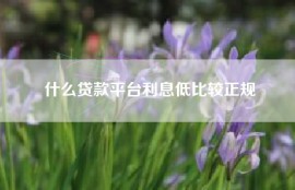 什么贷款平台利息低比较正规