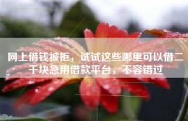 网上借钱被拒，试试这些哪里可以借二千块急用借款平台，不容错过