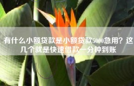 有什么小额贷款是小额贷款5000急用？这几个就是快速借款一分钟到账
