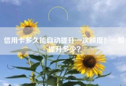 信用卡多久能自动提升一次额度！一般提升多少？