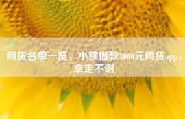 网贷名单一览，小额借款3000元网贷app，拿走不谢