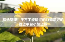 精选整理！千万不能错过的口碑最好的借贷平台小额贷款