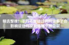 精选整理！千万不能错过的网贷多了会影响征信吗没有逾期小额贷款