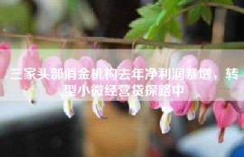 三家头部消金机构去年净利润暴增，转型小微经营贷探路中