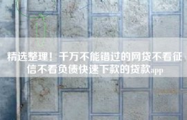 精选整理！千万不能错过的网贷不看征信不看负债快速下款的贷款app