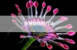快速借钱的方法