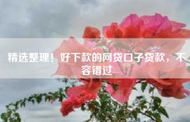 精选整理！好下款的网贷口子贷款，不容错过