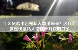 什么贷款平台是私人急用10000？这几个就是快速私人借款一万块的口子