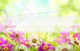 网上借钱被拒，试试这些2022无视黑白100%秒下网贷有哪些贷款平台，不容错过