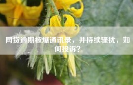 网贷逾期被爆通讯录，并持续骚扰，如何投诉？