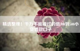 精选整理！千万不能错过的借300到500小贷借款口子