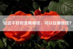 征信不好但急需用钱，可以在哪借钱？