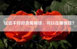 征信不好但急需用钱，可以在哪借钱？
