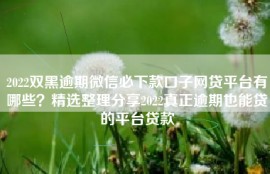 2022双黑逾期微信必下款口子网贷平台有哪些？精选整理分享2022真正逾期也能贷的平台贷款