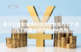 有什么贷款是高利贷借款联系方式？这几个就是小额贷款10000急用
