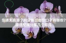 负债太高哪个网贷能过借款口子有哪些？精选整理分享几个软件