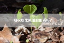 期权股比原始股值钱吗？
