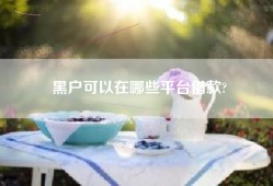 黑户可以在哪些平台借款?