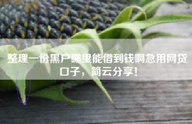 整理一份黑户哪里能借到钱啊急用网贷口子，简云分享！