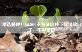 精选整理！借5000不看征信秒下款借款口子，不容错过