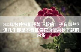 2022年各种被拒还能下款的口子有哪些？这几个都是不看征信花负债高秒下款的网贷