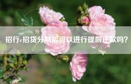 招行e招贷分期后可以进行提前还款吗？