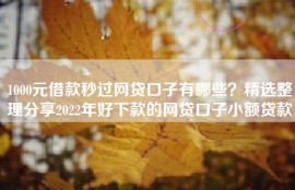 1000元借款秒过网贷口子有哪些？精选整理分享2022年好下款的网贷口子小额贷款