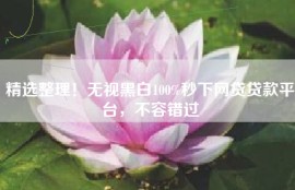 精选整理！无视黑白100%秒下网贷贷款平台，不容错过
