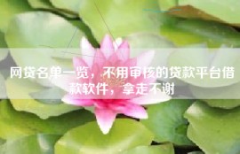 网贷名单一览，不用审核的贷款平台借款软件，拿走不谢