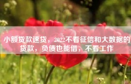 小额贷款速贷，2022不看征信和大数据的贷款，负债也能借，不看工作