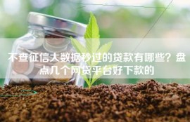 不查征信大数据秒过的贷款有哪些？盘点几个网贷平台好下款的