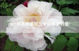 2022年急用借款三千元哪里好借?