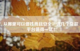 从哪里可以借钱而且安全，这几个贷款平台值得一试！