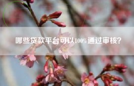 哪些贷款平台可以100%通过审核？