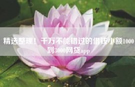 精选整理！千万不能错过的借钱小额1000到3000网贷app