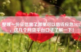 整理一份征信黑了哪里可以借钱应急2022，这几个网贷平台口子了解一下！