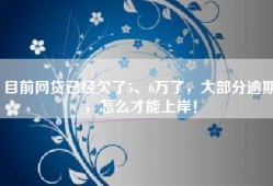 目前网贷已经欠了5、6万了，大部分逾期，怎么才能上岸！
