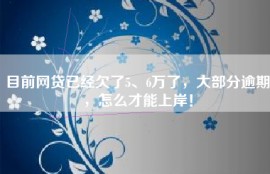 目前网贷已经欠了5、6万了，大部分逾期，怎么才能上岸！
