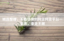 精选整理，不看负债的网贷网贷平台一览表，拿走不谢